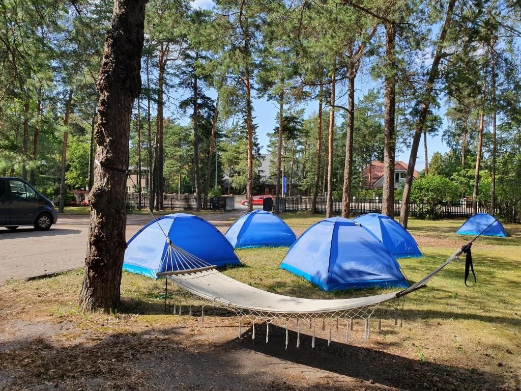 Кемпинги Camping Freedom Таллин-48